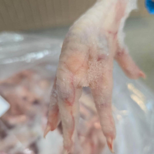 Can Dogs Eat Chicken Feet - K9 Kuisine 